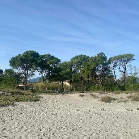 דירה Sur La Plage A Casa Angelina בורגו